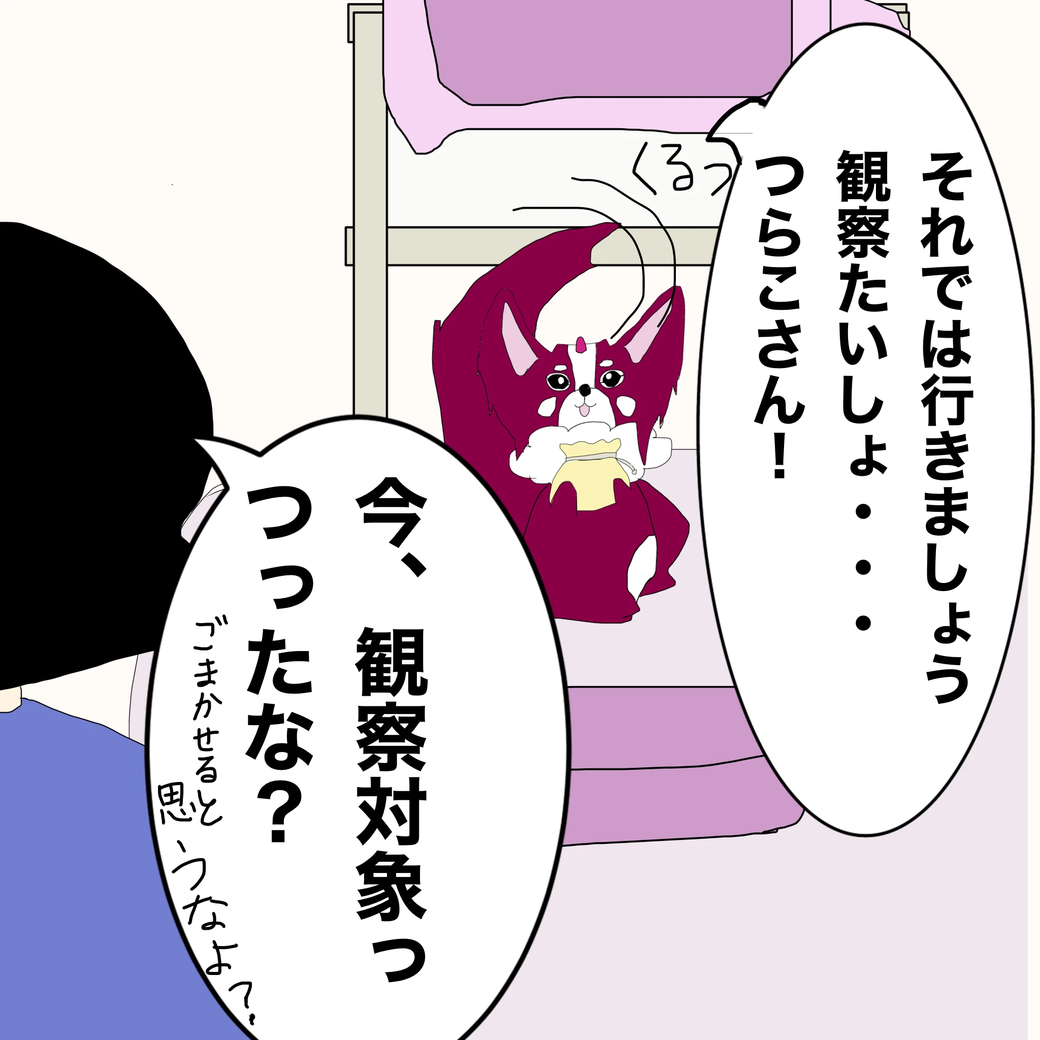 ？：「それでは行きましょう。観察たいしょ・・・つらこさん！」 つらこ：「今、観察対象っつったな？」「ごまかせると思うなよ？」